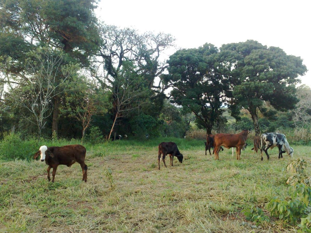 Chales Na Fazenda Santo Antonio de Posse Buitenkant foto