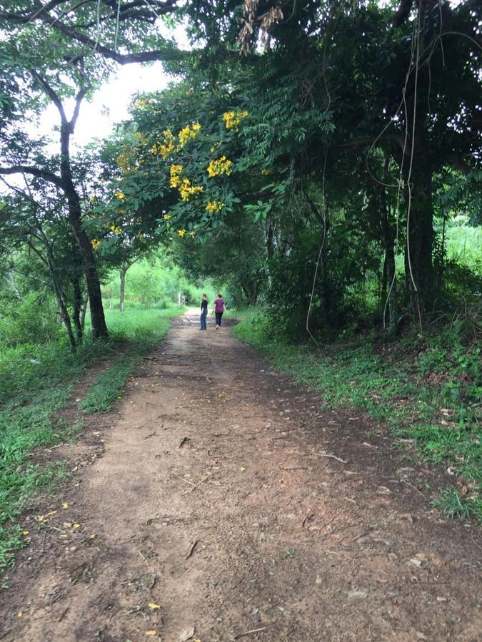 Chales Na Fazenda Santo Antonio de Posse Buitenkant foto